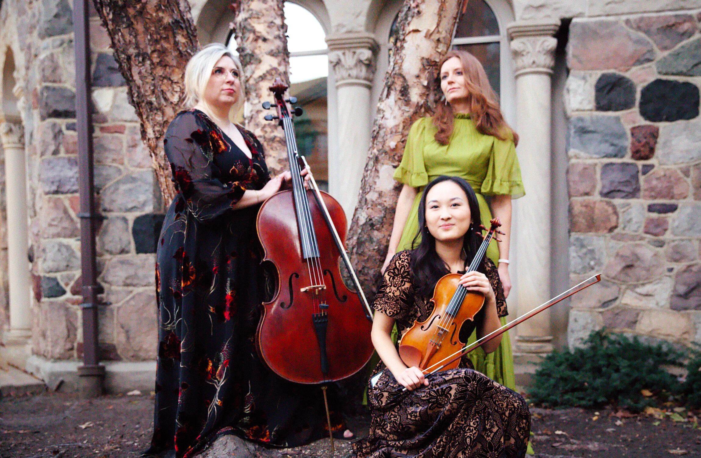 Terra Trio Terra Trio Logo